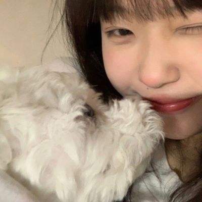 缘来是仙bt果盘客户端下载